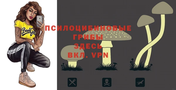 гидропоника Верея