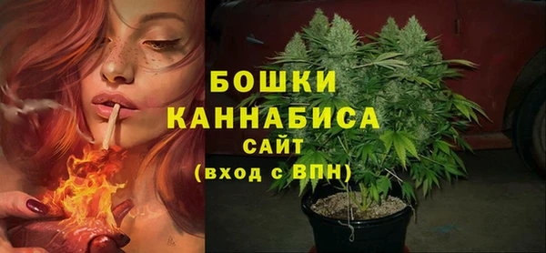 сатива Верхний Тагил