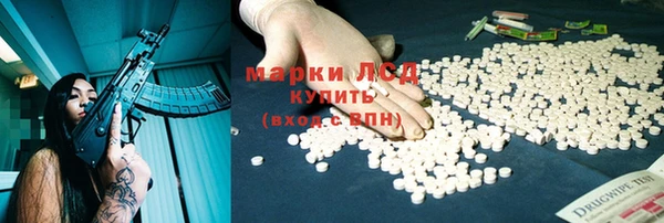 сатива Верхний Тагил