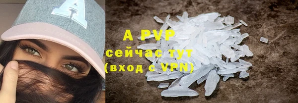 сатива Верхний Тагил