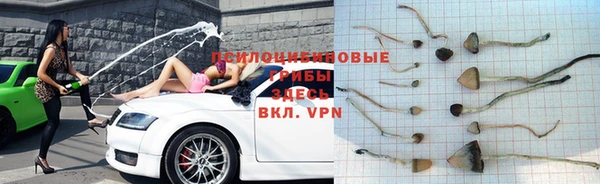 гидропоника Верея