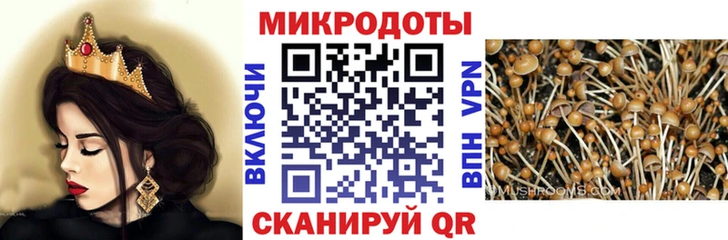 Купить закладки  Сафоново  Галлюциногенные грибы GOLDEN TEACHER 